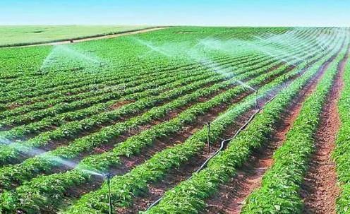 俄罗斯肥屄熟妇农田高 效节水灌溉